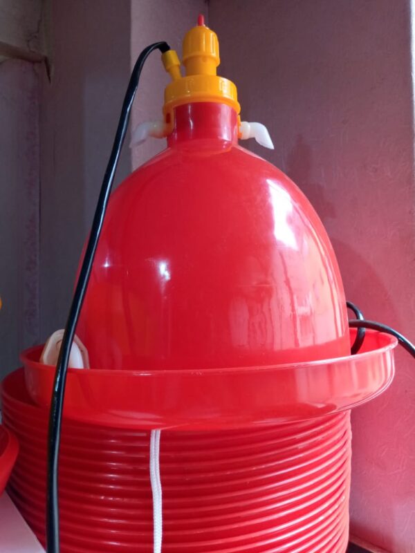 Automatic Nipple Drinkers Kenya