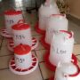 poultry feeders and drinkers chicken feeders and drinkers chicken feeders and drinkers for sale water drinkers for hens drinker and feeder for poultry feeders and drinkers for chicken types of chicken feeders and drinkers poultry drinker feeder poultry drinker feeder price