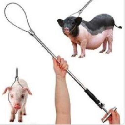 PIG RESTRAINER