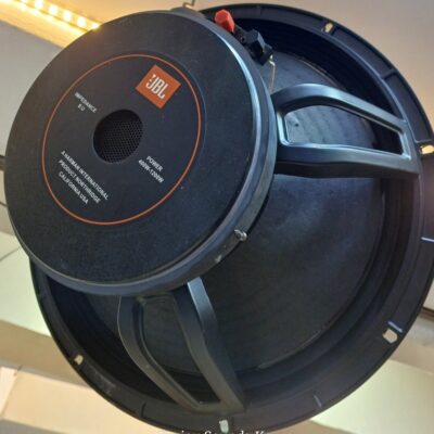 Jbl Srx715 Naked Midrange speaker