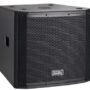 Soundking Bass Speaker kenya